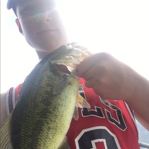 Meet your Posher, Joey